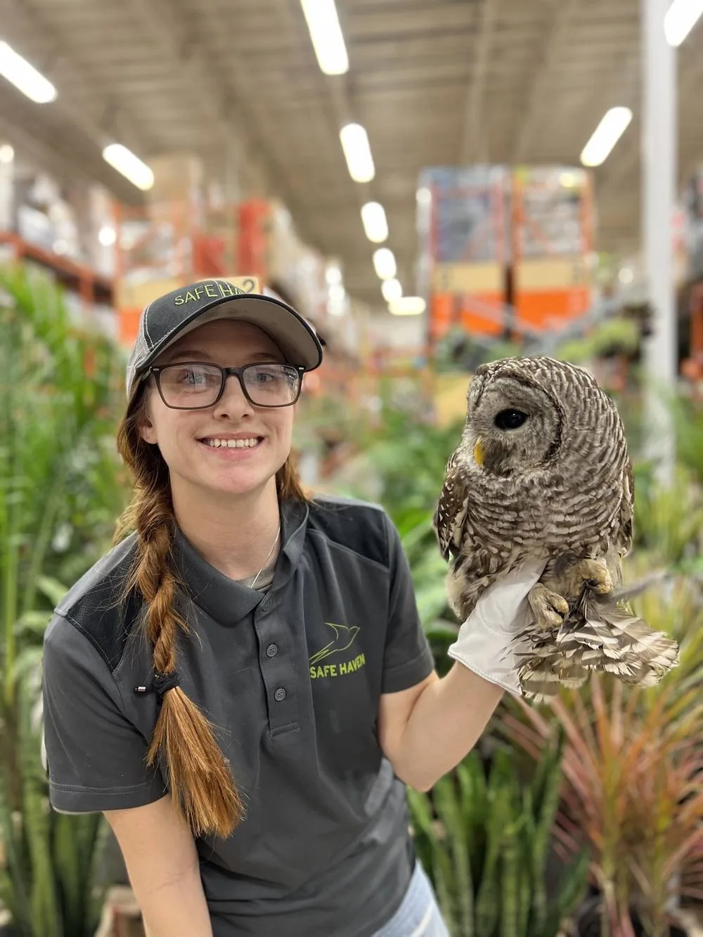 Safe Haven wildlife specialists on site at a commercial facility