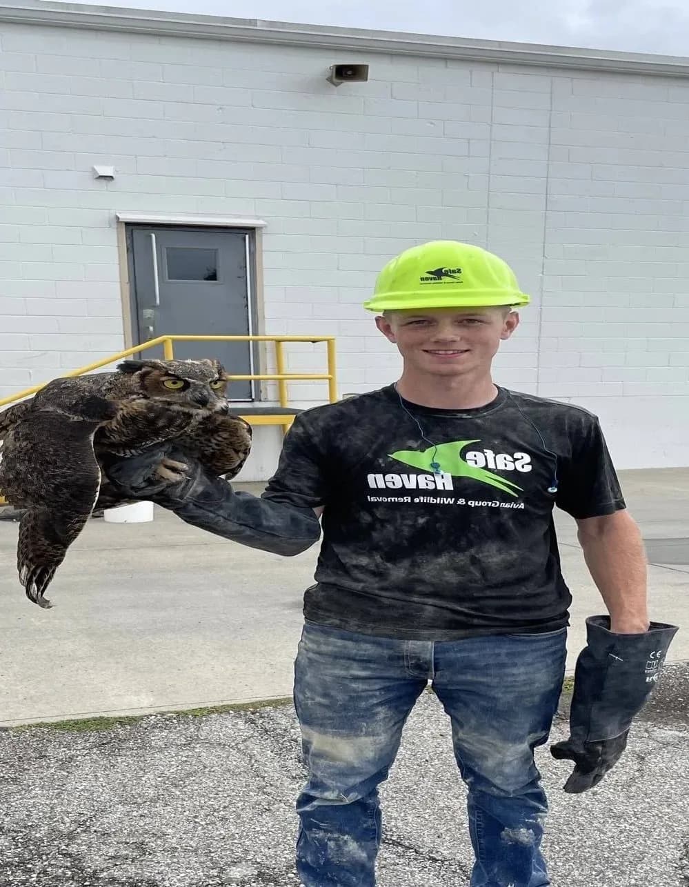 Vulture and bird of prey control on a commercial rooftop